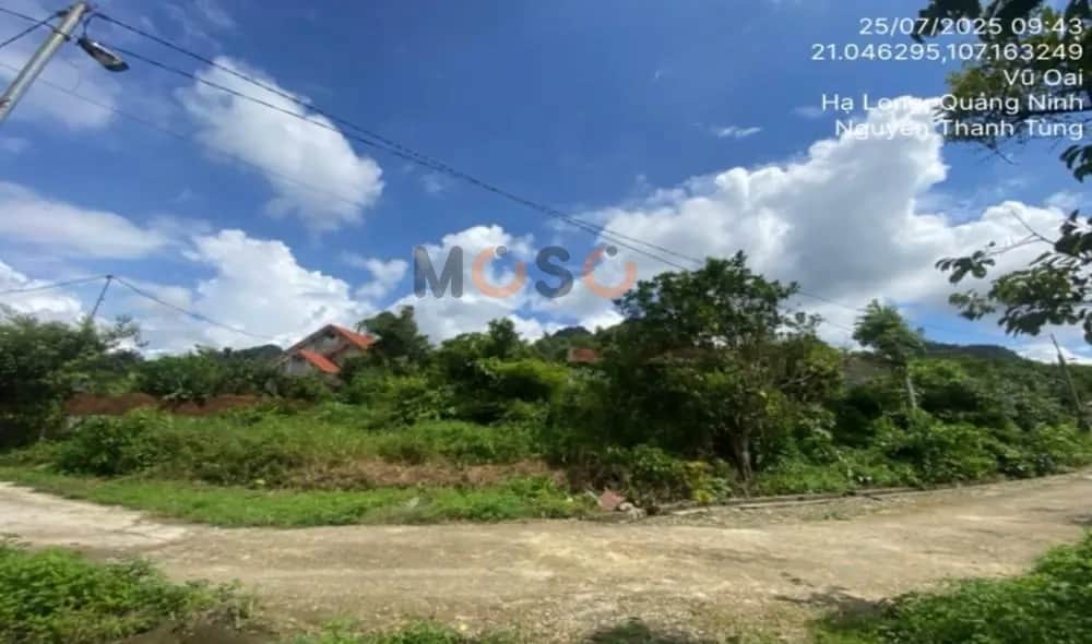 Bán đất Thôn Đồng Mơ Thành phố Hạ Long, Quảng Ninh – giá 3 tỷ Bán đất Thôn Đồng Mơ Thành phố Hạ Long, Quảng Ninh – giá 3 tỷ
