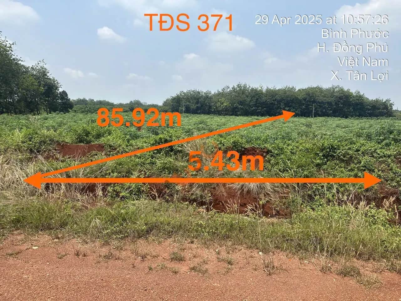 Bán đất Ấp Quân Y, xã Tân Lợi Huyện Đồng Phú, Bình Phước – giá 655 triệu Bán đất Ấp Quân Y, xã Tân Lợi Huyện Đồng Phú, Bình Phước – giá 655 triệu