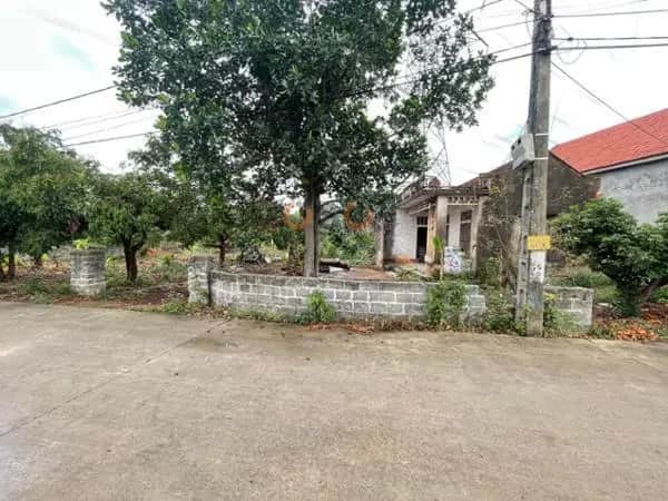 Bán nhà hẻm Thôn Đá Bạc 2 Chí Linh, Hải Dương – giá 880 triệu Bán nhà hẻm Thôn Đá Bạc 2 Chí Linh, Hải Dương – giá 880 triệu