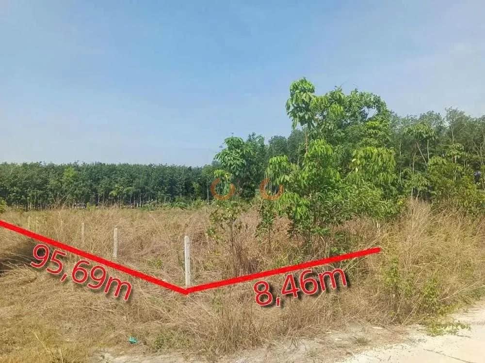 Bán đất Minh Hưng Huyện Chơn Thành, Bình Phước – giá 2.3 tỷ Bán đất Minh Hưng Huyện Chơn Thành, Bình Phước – giá 2.3 tỷ
