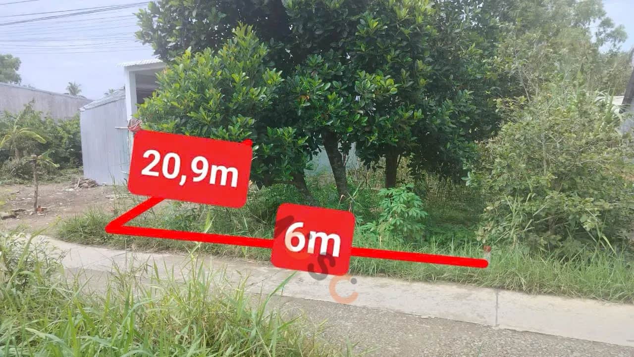 Bán đất Minh Tân Huyện Châu Thành, Kiên Giang – giá 221 triệu Bán đất Minh Tân Huyện Châu Thành, Kiên Giang – giá 221 triệu