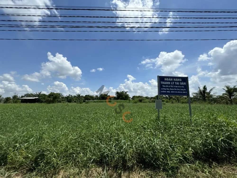 Bán đất Ap Hoa Thuan Huyện Đức Hòa, Long An – giá 1.3 tỷ Bán đất Ap Hoa Thuan Huyện Đức Hòa, Long An – giá 1.3 tỷ