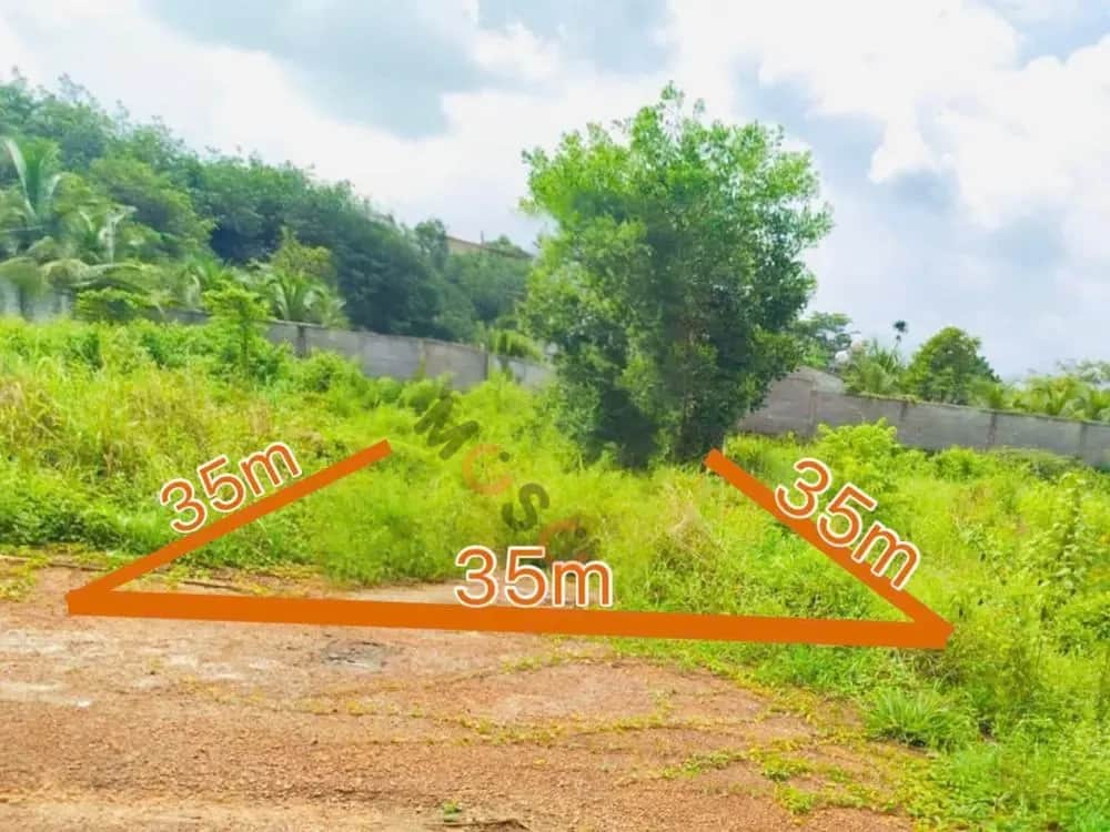Bán đất Huyện Đồng Phú, Bình Phước – giá 1.1 tỷ Bán đất Huyện Đồng Phú, Bình Phước – giá 1.1 tỷ