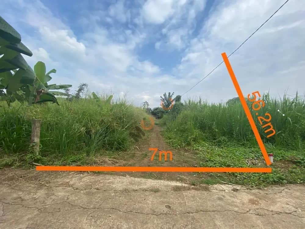 Bán đất Chùa Vạn Thọ Huyện Trảng Bom, Đồng Nai – giá 1.6 tỷ Bán đất Chùa Vạn Thọ Huyện Trảng Bom, Đồng Nai – giá 1.6 tỷ