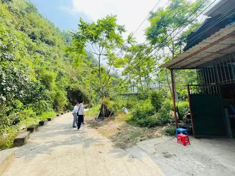 Bán đất Tôn Thất Tùng Thành phố Hòa Bình, Hoà Bình – giá 1.5 tỷ Bán đất Tôn Thất Tùng Thành phố Hòa Bình, Hoà Bình – giá 1.5 tỷ