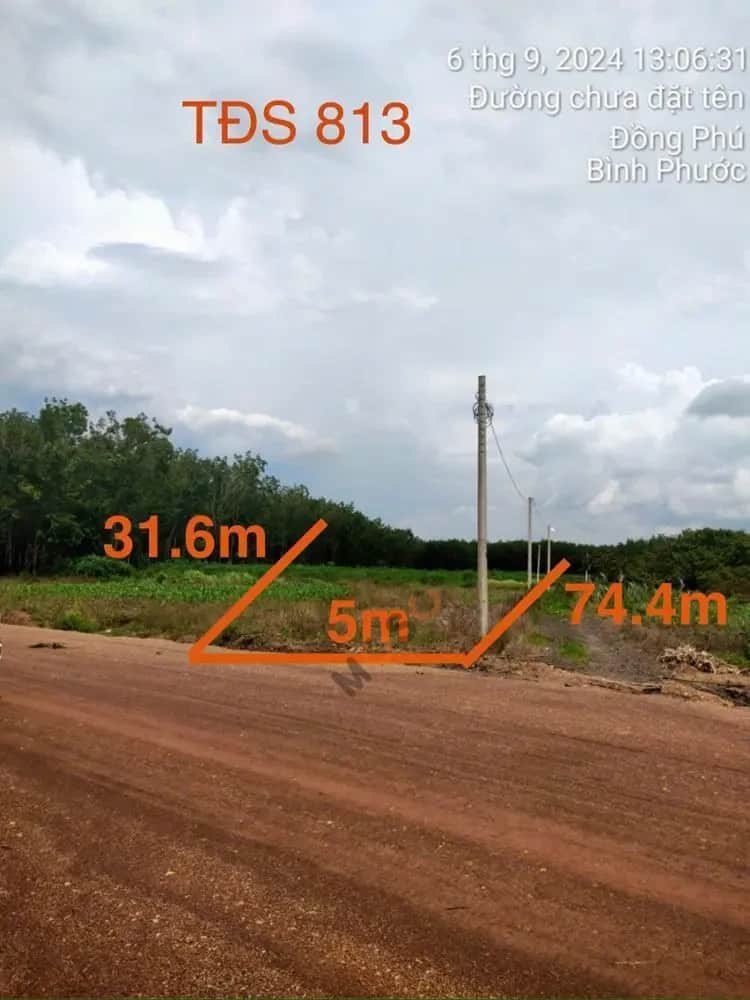 Bán đất Thuận Tân Huyện Đồng Phú, Bình Phước – giá 373 triệu Bán đất Thuận Tân Huyện Đồng Phú, Bình Phước – giá 373 triệu
