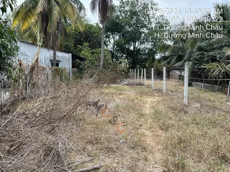 Bán đất Trịnh Đình Thảo Dương Minh Châu, Tây Ninh – giá 610 triệu Bán đất Trịnh Đình Thảo Dương Minh Châu, Tây Ninh – giá 610 triệu