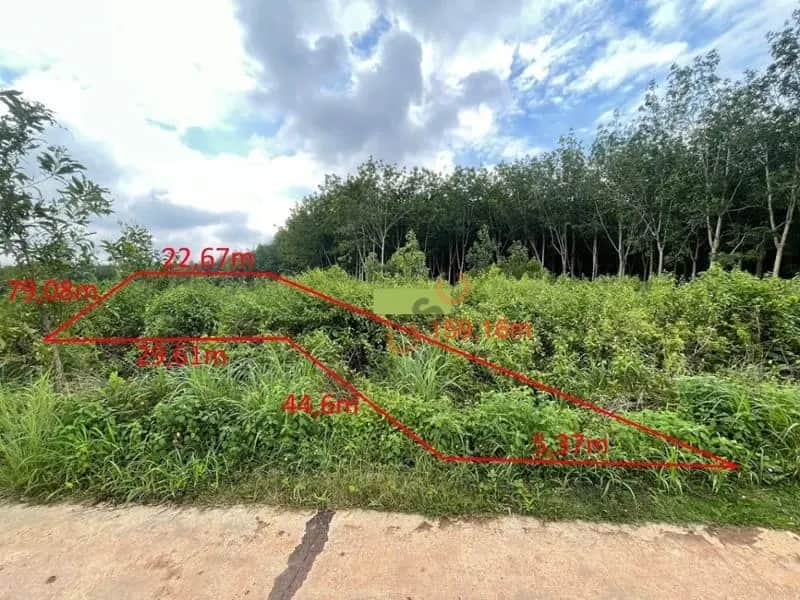 Bán đất Phước Tiến, xã Huyện Đồng Phú, Bình Phước – giá 1.3 tỷ Bán đất Phước Tiến, xã Huyện Đồng Phú, Bình Phước – giá 1.3 tỷ