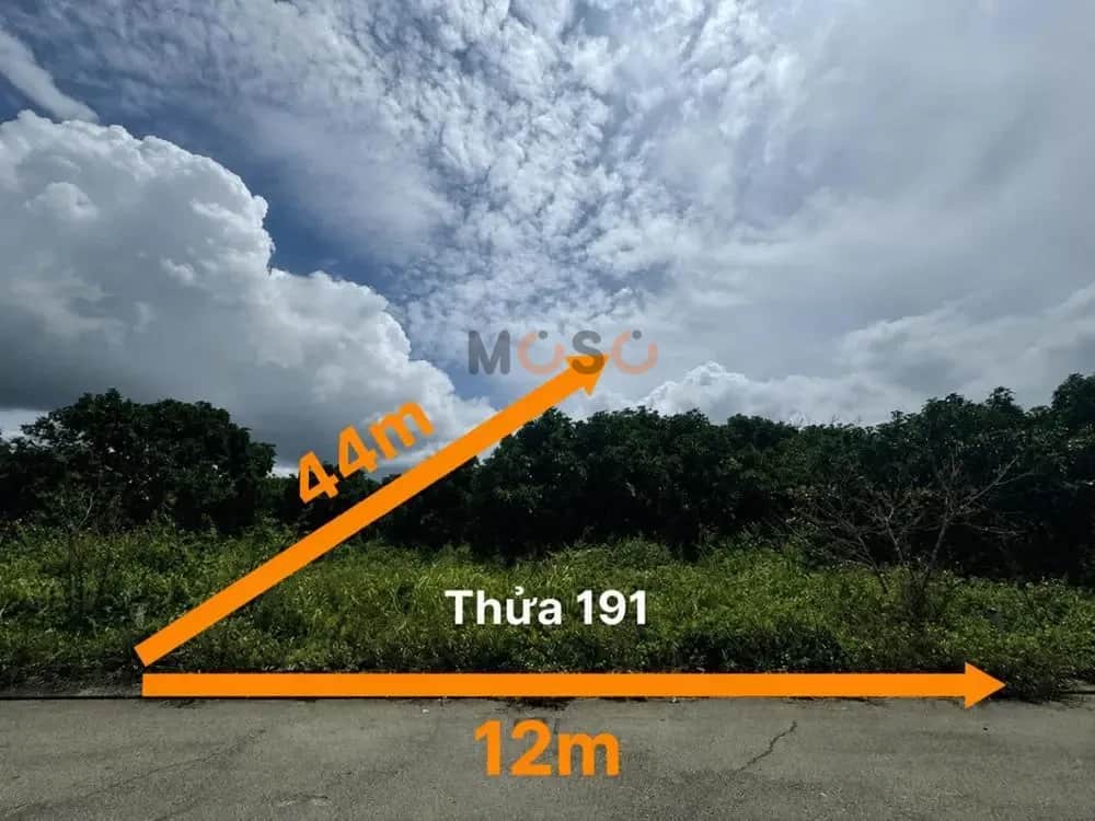 Bán đất Huyện Lâm Hà, Lâm Đồng – giá 955.8 triệu Bán đất Huyện Lâm Hà, Lâm Đồng – giá 955.8 triệu