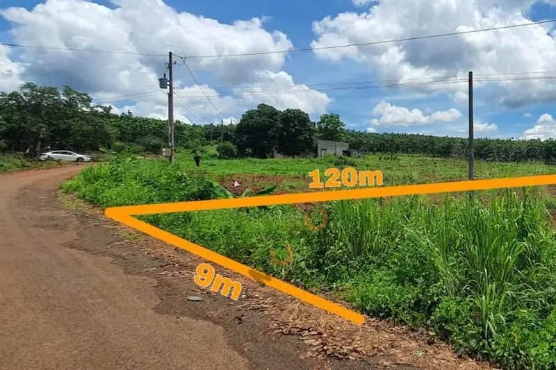Bán đất Unnamed Huyện Bù Gia Mập, Bình Phước – giá 227 triệu Bán đất Unnamed Huyện Bù Gia Mập, Bình Phước – giá 227 triệu