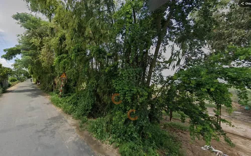 Bán đất Đường tỉnh 954 Huyện Phú Tân, An Giang – giá 1.1 tỷ Bán đất Đường tỉnh 954 Huyện Phú Tân, An Giang – giá 1.1 tỷ