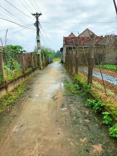 Bán đất Thành phố Quảng Ngãi, Quảng Ngãi – giá 333 triệu Bán đất Thành phố Quảng Ngãi, Quảng Ngãi – giá 333 triệu
