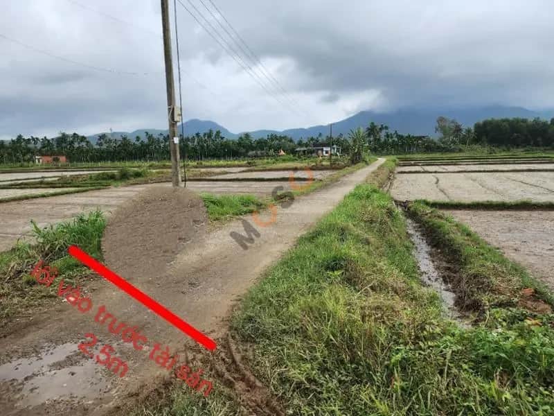 Bán đất Huyện Nghĩa Hành, Quảng Ngãi – giá 1.4 tỷ Bán đất Huyện Nghĩa Hành, Quảng Ngãi – giá 1.4 tỷ