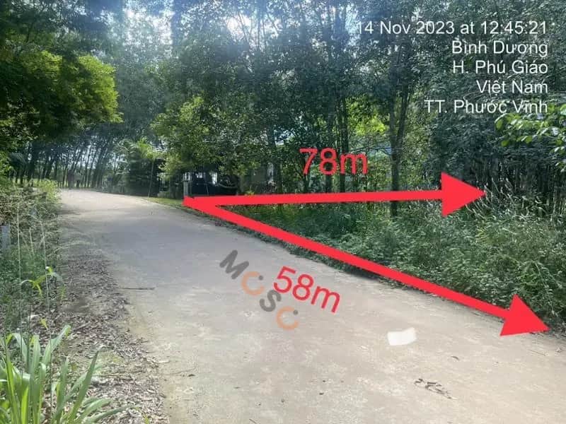 Bán đất Bàu Ao Huyện Phú Giáo, Bình Dương – giá 1.9 tỷ Bán đất Bàu Ao Huyện Phú Giáo, Bình Dương – giá 1.9 tỷ