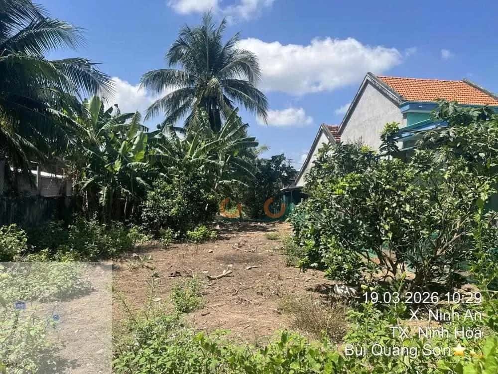 Bán đất Quốc lộ 1A Thị xã Ninh Hòa, Khánh Hòa – giá 1.2 tỷ — Hình 3 Bán đất Quốc lộ 1A Thị xã Ninh Hòa, Khánh Hòa – giá 1.2 tỷ — Hình 3