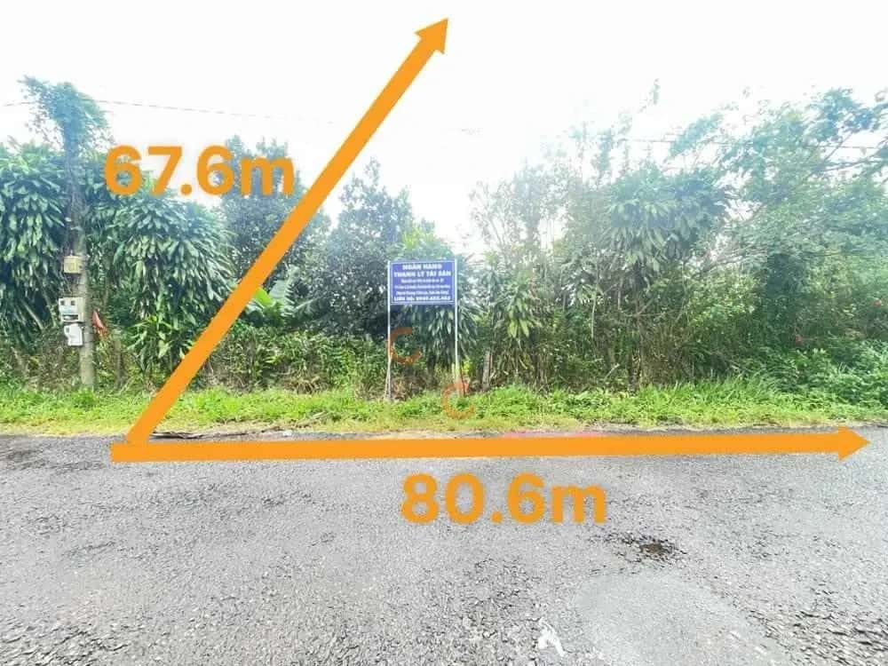 Bán đất Trần Nhật Duật Thành phố Bảo Lộc, Lâm Đồng – giá 6 tỷ — Hình 2 Bán đất Trần Nhật Duật Thành phố Bảo Lộc, Lâm Đồng – giá 6 tỷ — Hình 2