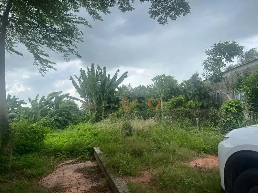 Bán đất Thiên Hộ Dương Thành phố Sa Đéc, Đồng Tháp – giá 1.5 tỷ — Hình 3 Bán đất Thiên Hộ Dương Thành phố Sa Đéc, Đồng Tháp – giá 1.5 tỷ — Hình 3