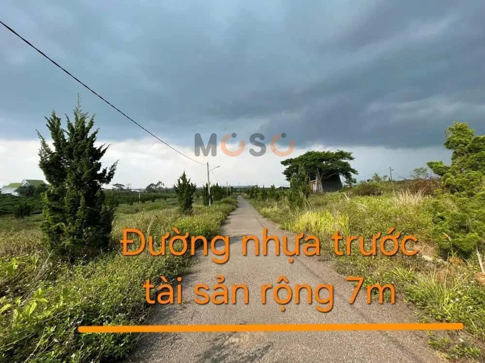 Bán đất Huyện Bảo Lâm, Lâm Đồng – giá 838 triệu — Hình 3 Bán đất Huyện Bảo Lâm, Lâm Đồng – giá 838 triệu — Hình 3