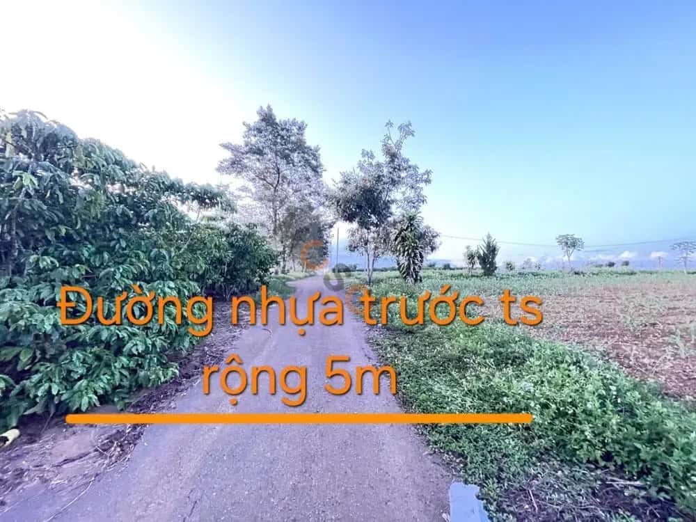 Bán đất Thị trấn Lộc Thắng Huyện Bảo Lâm, Lâm Đồng – giá 831 triệu — Hình 2 Bán đất Thị trấn Lộc Thắng Huyện Bảo Lâm, Lâm Đồng – giá 831 triệu — Hình 2