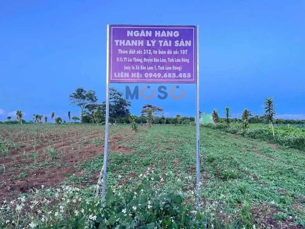 Bán đất Thị trấn Lộc Thắng Huyện Bảo Lâm, Lâm Đồng – giá 831 triệu — Hình 3 Bán đất Thị trấn Lộc Thắng Huyện Bảo Lâm, Lâm Đồng – giá 831 triệu — Hình 3