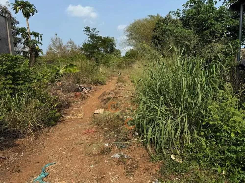 Bán đất Ấp Tân Hoà Đất Đỏ, BRVT – giá 821 triệu — Hình 3 Bán đất Ấp Tân Hoà Đất Đỏ, BRVT – giá 821 triệu — Hình 3