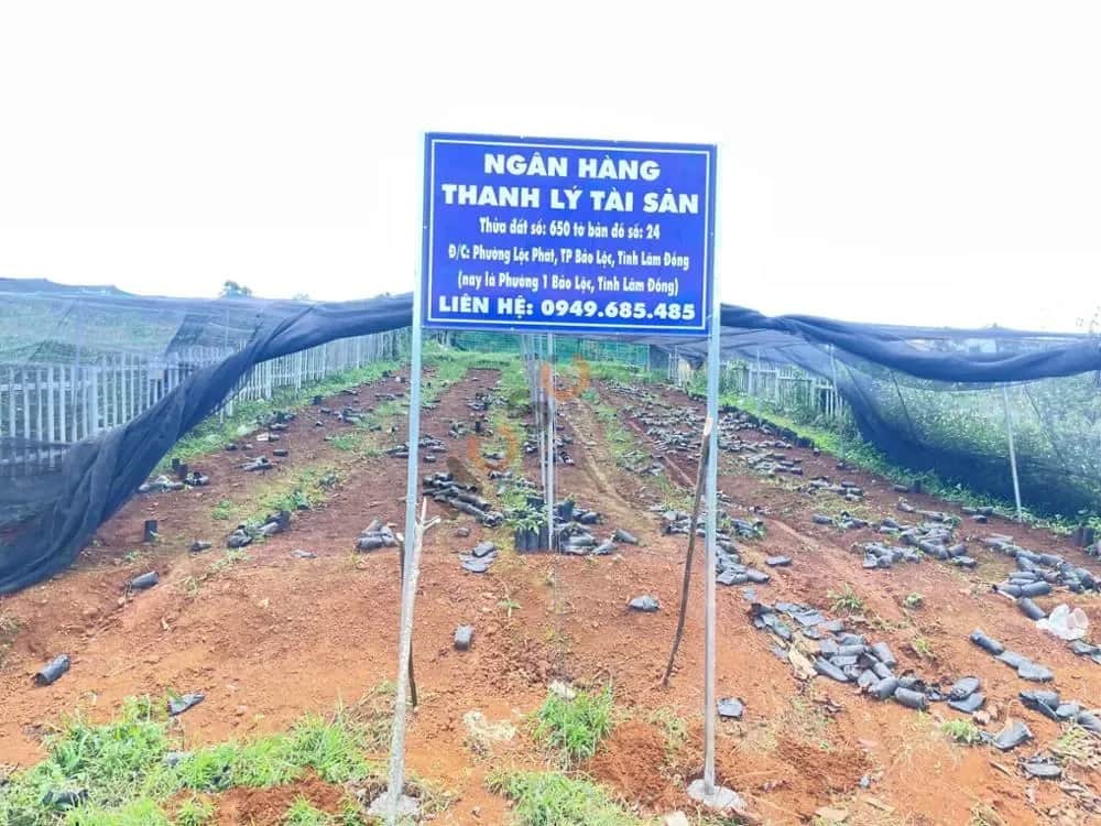 Bán đất Thành phố Bảo Lộc, Lâm Đồng – giá 1.3 tỷ Bán đất Thành phố Bảo Lộc, Lâm Đồng – giá 1.3 tỷ