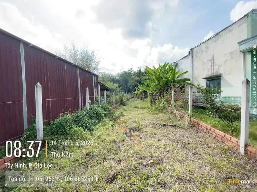 Bán đất Khu phố Gia Lộc Thị xã Trảng Bàng, Tây Ninh – giá 960 triệu Bán đất Khu phố Gia Lộc Thị xã Trảng Bàng, Tây Ninh – giá 960 triệu