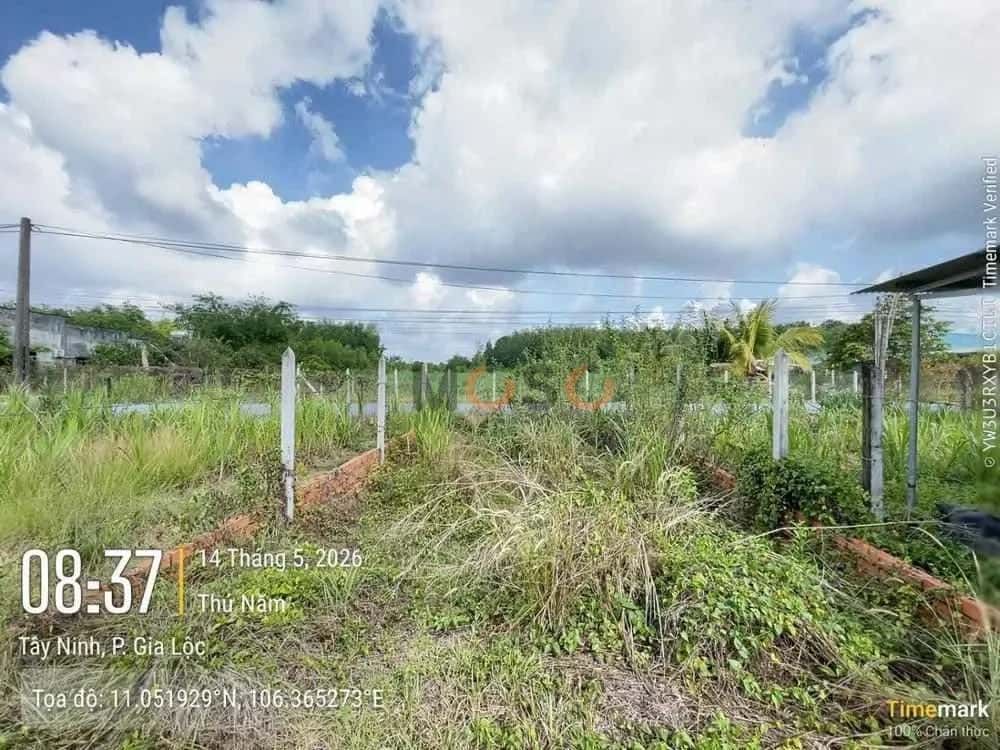 Bán đất Khu phố Gia Lộc Thị xã Trảng Bàng, Tây Ninh – giá 960 triệu — Hình 3 Bán đất Khu phố Gia Lộc Thị xã Trảng Bàng, Tây Ninh – giá 960 triệu — Hình 3