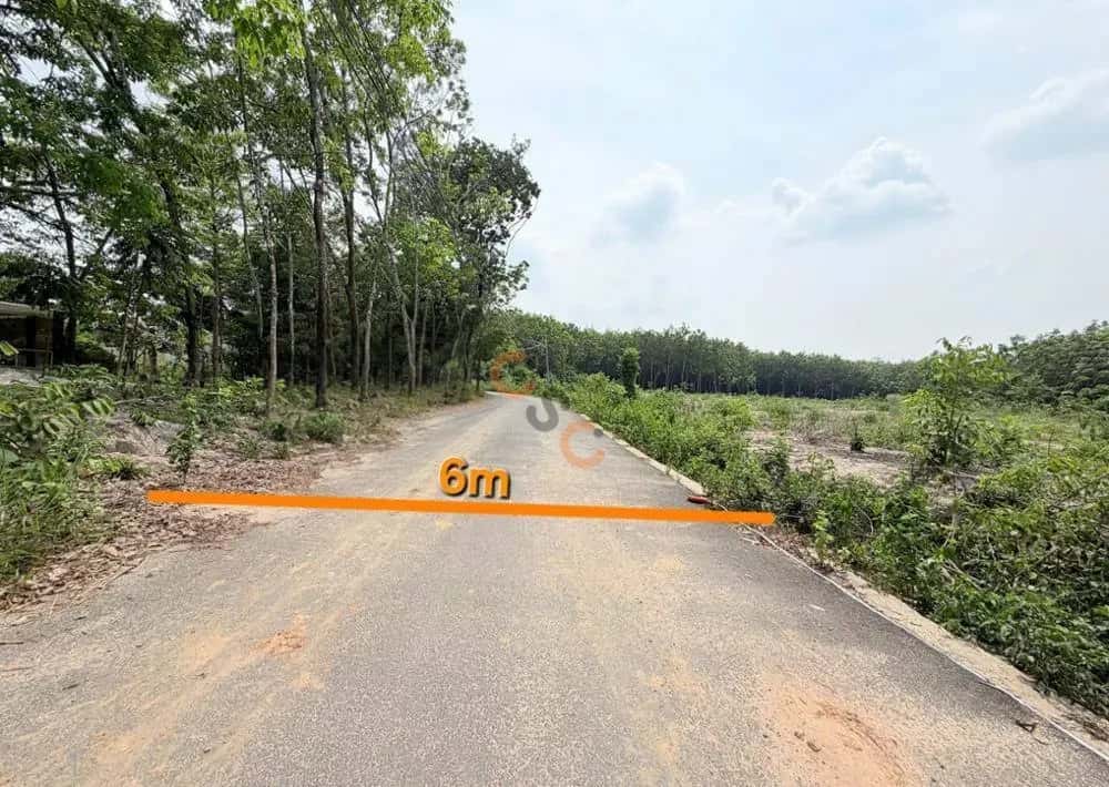 Bán đất Thị xã Bến Cát, Bình Dương – giá 3.5 tỷ — Hình 2 Bán đất Thị xã Bến Cát, Bình Dương – giá 3.5 tỷ — Hình 2