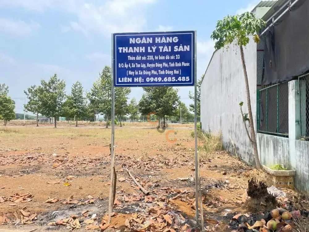 Bán đất Unnamed Huyện Đồng Phú, Bình Phước – giá 475.1 triệu — Hình 3 Bán đất Unnamed Huyện Đồng Phú, Bình Phước – giá 475.1 triệu — Hình 3
