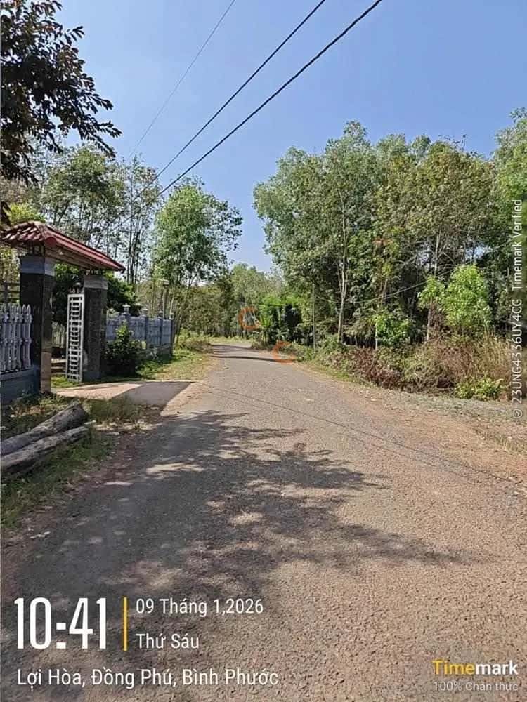 Bán đất Huyện Đồng Phú, Bình Phước – giá 363.6 triệu — Hình 2 Bán đất Huyện Đồng Phú, Bình Phước – giá 363.6 triệu — Hình 2