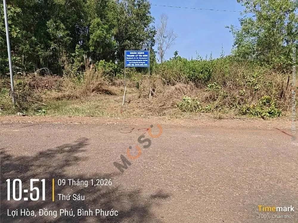 Bán đất Huyện Đồng Phú, Bình Phước – giá 363.6 triệu — Hình 3 Bán đất Huyện Đồng Phú, Bình Phước – giá 363.6 triệu — Hình 3