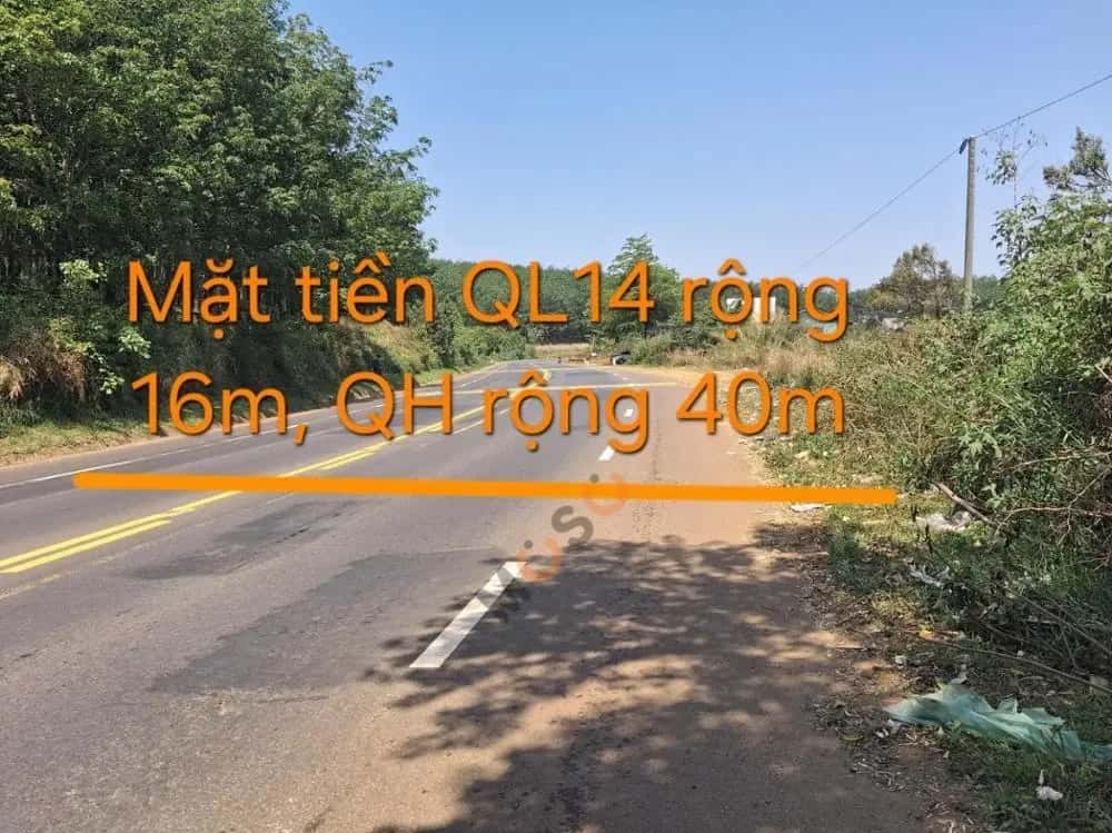 Bán đất Đường Hồ Chí Minh Đắk Mil, Đắk Nông – giá 2 tỷ — Hình 2 Bán đất Đường Hồ Chí Minh Đắk Mil, Đắk Nông – giá 2 tỷ — Hình 2