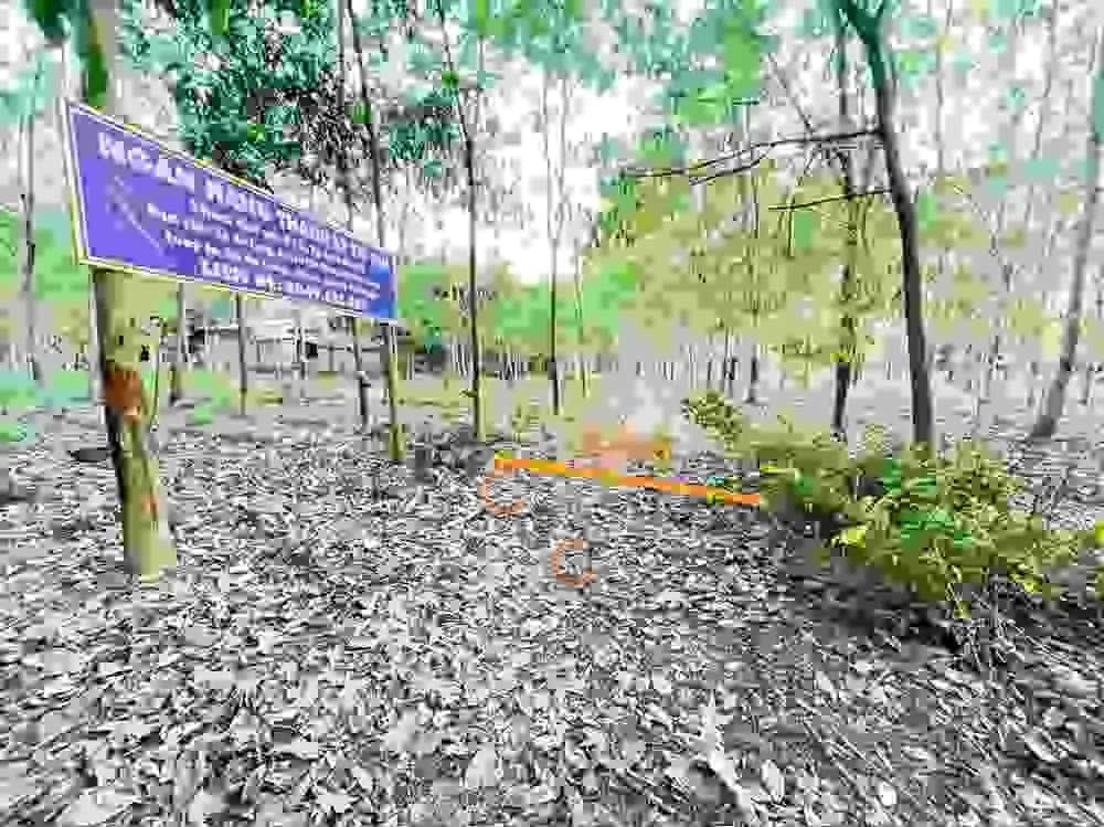 Bán đất Gò Đình Huyện Phú Giáo, Bình Dương – giá 1.7 tỷ — Hình 2 Bán đất Gò Đình Huyện Phú Giáo, Bình Dương – giá 1.7 tỷ — Hình 2