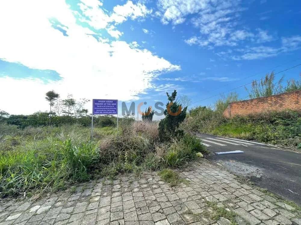 Bán đất Huyện Bảo Lâm, Lâm Đồng – giá 1 tỷ — Hình 3 Bán đất Huyện Bảo Lâm, Lâm Đồng – giá 1 tỷ — Hình 3
