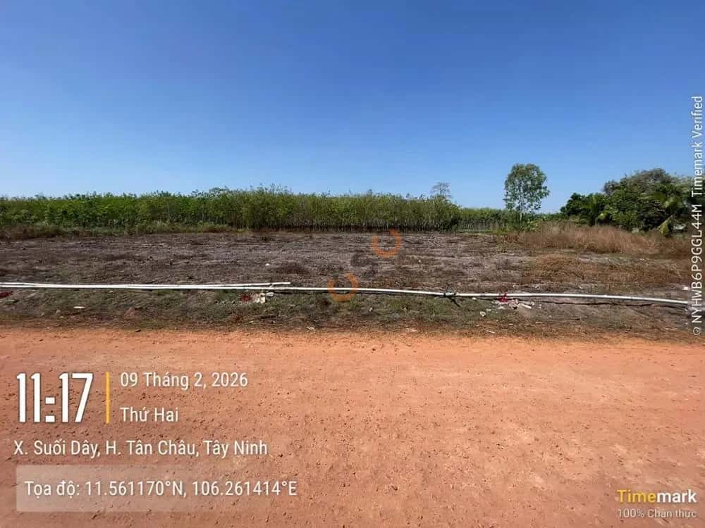 Bán đất Huyện Tân Châu, Tây Ninh – giá 139.8 triệu — Hình 2 Bán đất Huyện Tân Châu, Tây Ninh – giá 139.8 triệu — Hình 2