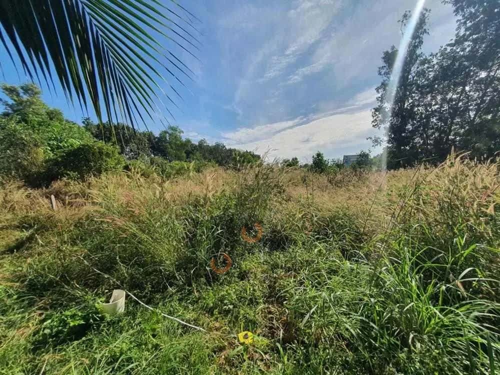 Bán đất Đường Lai Uyên Huyện Bàu Bàng, Bình Dương – giá 1.2 tỷ — Hình 2 Bán đất Đường Lai Uyên Huyện Bàu Bàng, Bình Dương – giá 1.2 tỷ — Hình 2