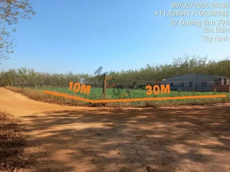 Bán đất Thạnh Lộc Huyện Tân Biên, Tây Ninh – giá 133.4 triệu — Hình 2 Bán đất Thạnh Lộc Huyện Tân Biên, Tây Ninh – giá 133.4 triệu — Hình 2