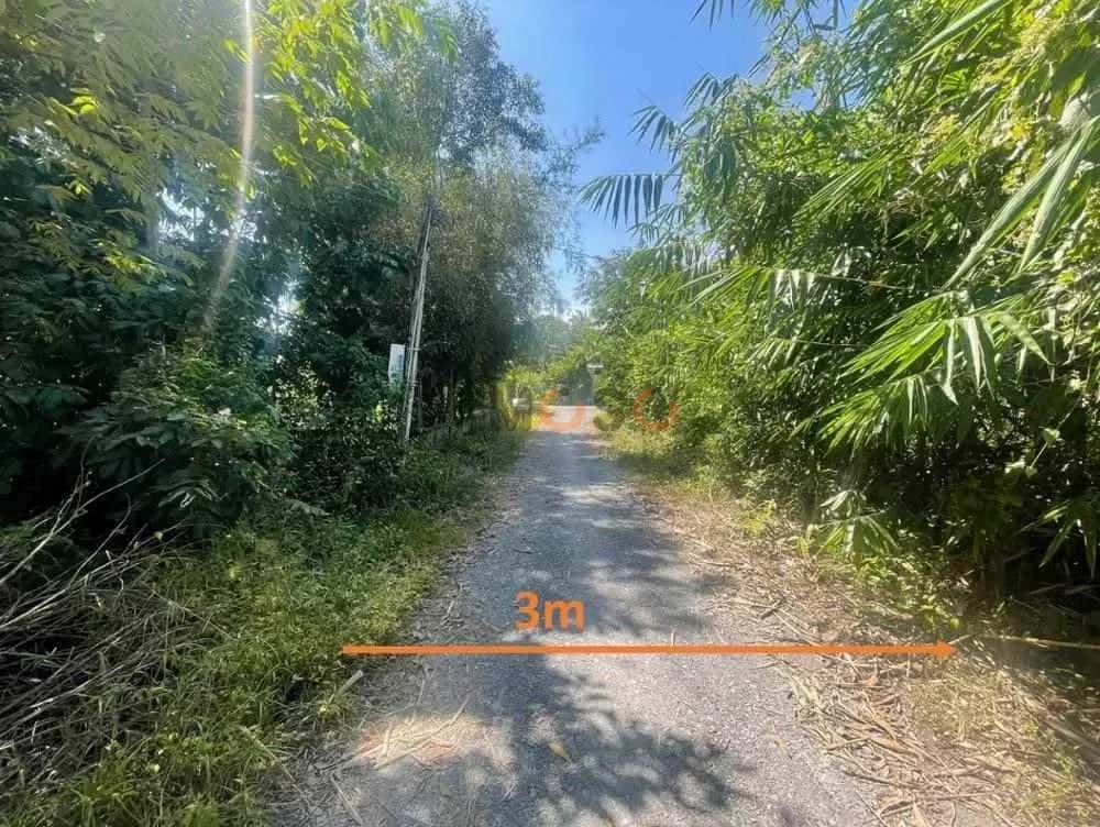Bán đất Lộc Du Thị xã Trảng Bàng, Tây Ninh – giá 962.5 triệu — Hình 2 Bán đất Lộc Du Thị xã Trảng Bàng, Tây Ninh – giá 962.5 triệu — Hình 2