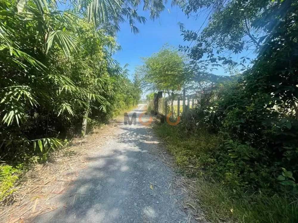 Bán đất Lộc Du Thị xã Trảng Bàng, Tây Ninh – giá 962.5 triệu — Hình 3 Bán đất Lộc Du Thị xã Trảng Bàng, Tây Ninh – giá 962.5 triệu — Hình 3