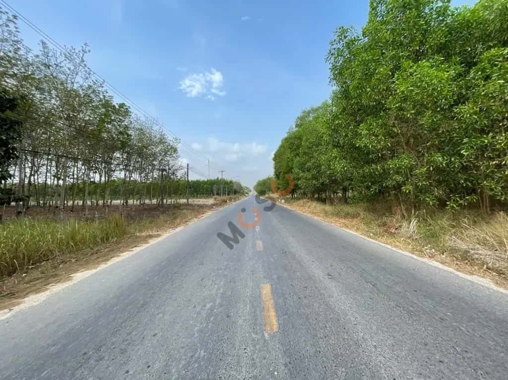 Bán đất Huyện Dầu Tiếng, Bình Dương – giá 1.5 tỷ — Hình 3 Bán đất Huyện Dầu Tiếng, Bình Dương – giá 1.5 tỷ — Hình 3