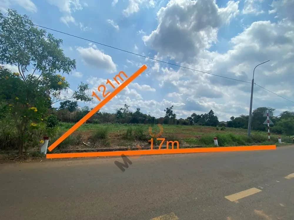 Bán đất Trương Định Huyện Cẩm Mỹ, Đồng Nai – giá 1.4 tỷ Bán đất Trương Định Huyện Cẩm Mỹ, Đồng Nai – giá 1.4 tỷ