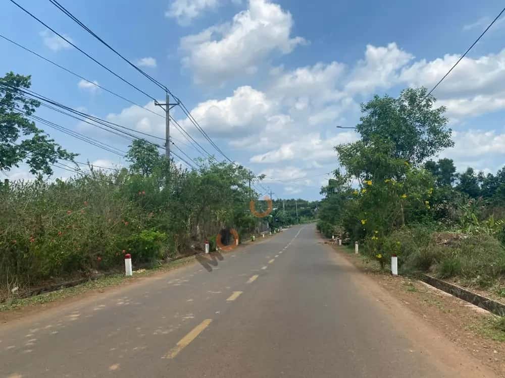 Bán đất Trương Định Huyện Cẩm Mỹ, Đồng Nai – giá 1.4 tỷ — Hình 3 Bán đất Trương Định Huyện Cẩm Mỹ, Đồng Nai – giá 1.4 tỷ — Hình 3