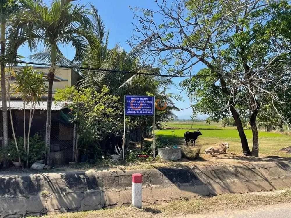 Bán đất Đường tỉnh 7 Thị xã Ninh Hòa, Khánh Hòa – giá 1.7 tỷ — Hình 3 Bán đất Đường tỉnh 7 Thị xã Ninh Hòa, Khánh Hòa – giá 1.7 tỷ — Hình 3