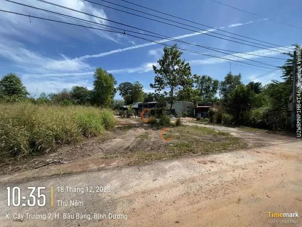 Bán đất Huyện Bàu Bàng, Bình Dương – giá 1.3 tỷ Bán đất Huyện Bàu Bàng, Bình Dương – giá 1.3 tỷ