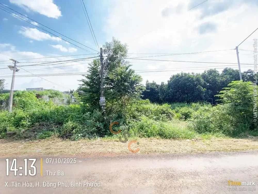 Bán đất Huyện Đồng Phú, Bình Phước – giá 372 triệu — Hình 2 Bán đất Huyện Đồng Phú, Bình Phước – giá 372 triệu — Hình 2