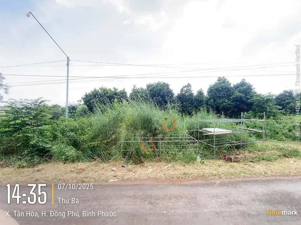 Bán đất Huyện Đồng Phú, Bình Phước – giá 372 triệu — Hình 3 Bán đất Huyện Đồng Phú, Bình Phước – giá 372 triệu — Hình 3