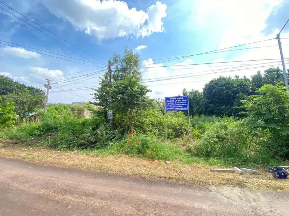 Bán đất Huyện Đồng Phú, Bình Phước – giá 372 triệu — Hình 3 Bán đất Huyện Đồng Phú, Bình Phước – giá 372 triệu — Hình 3