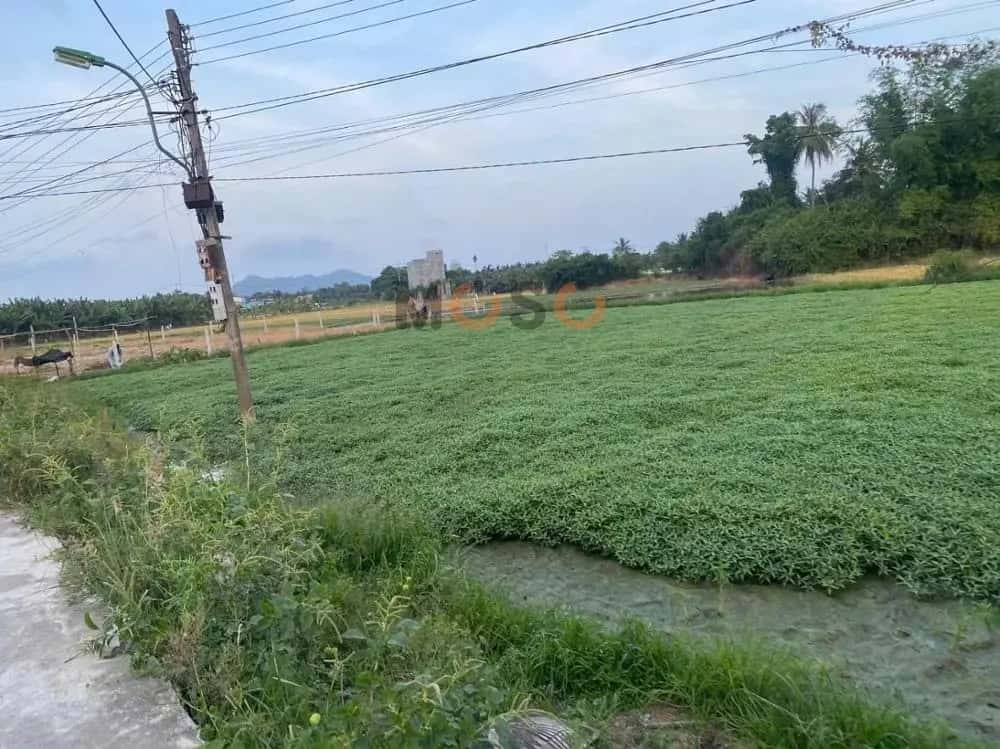 Bán đất Phú Bình Thành phố Nha Trang, Khánh Hòa – giá 2.1 tỷ — Hình 3 Bán đất Phú Bình Thành phố Nha Trang, Khánh Hòa – giá 2.1 tỷ — Hình 3