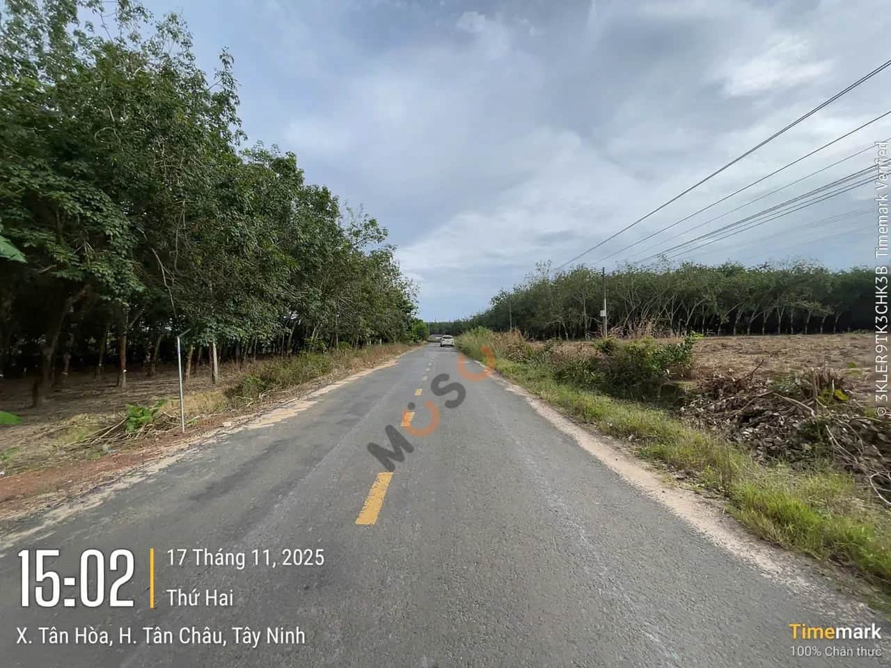 Bán đất Huyện Tân Châu, Tây Ninh – giá 1.7 tỷ Bán đất Huyện Tân Châu, Tây Ninh – giá 1.7 tỷ